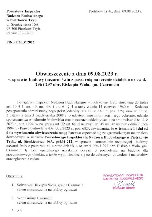 tuczarnia świń